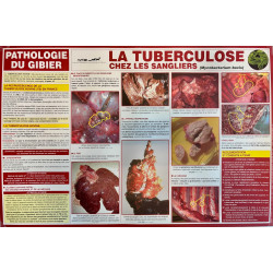 LOT DE 5 AFFICHES MALADIE