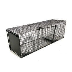 BOITE A FAUVE SPECIAL...